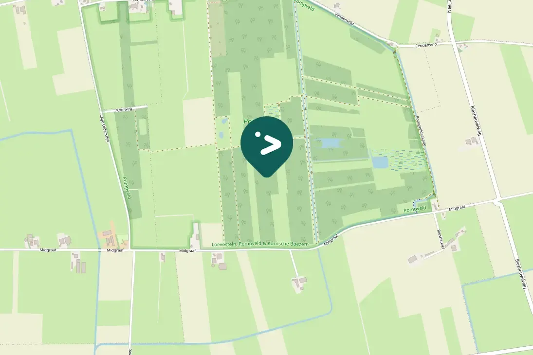 Gespotte Grote zilverreiger