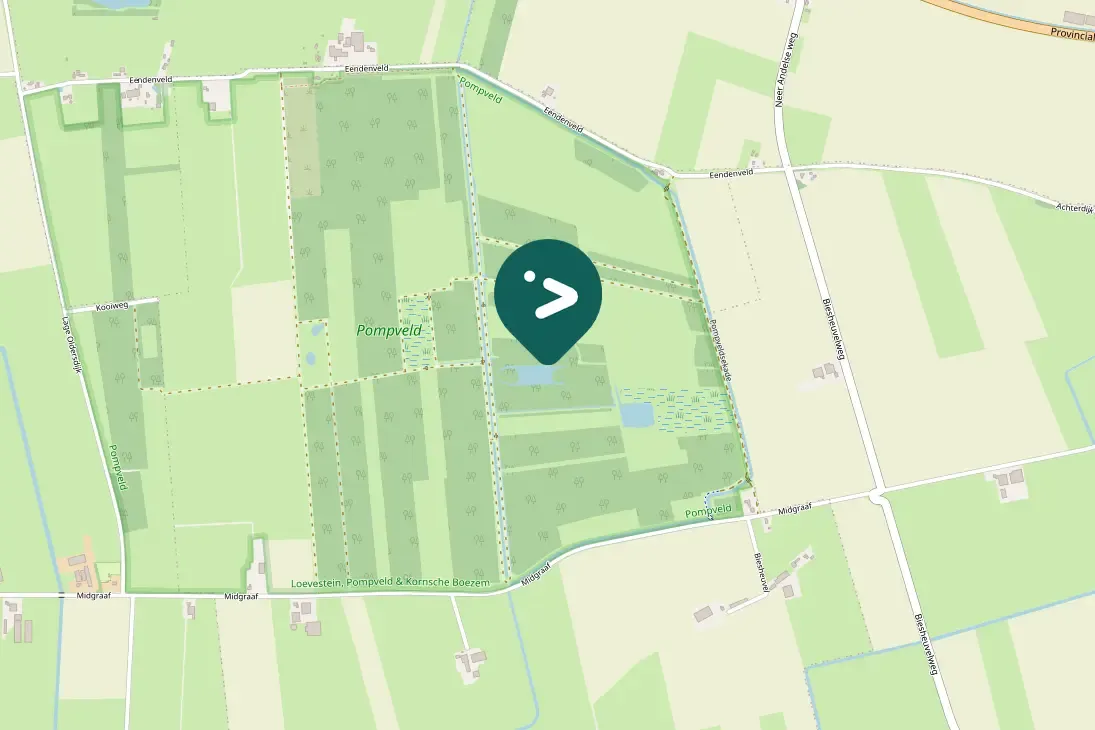 Gespotte Purperreiger