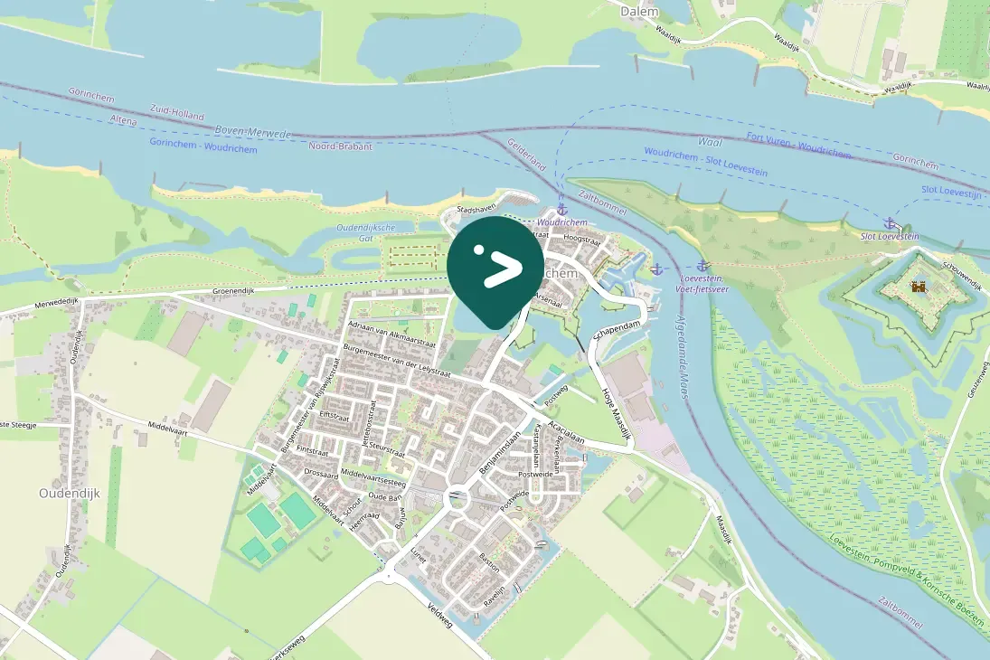 Gespotte Zwarte zwaan