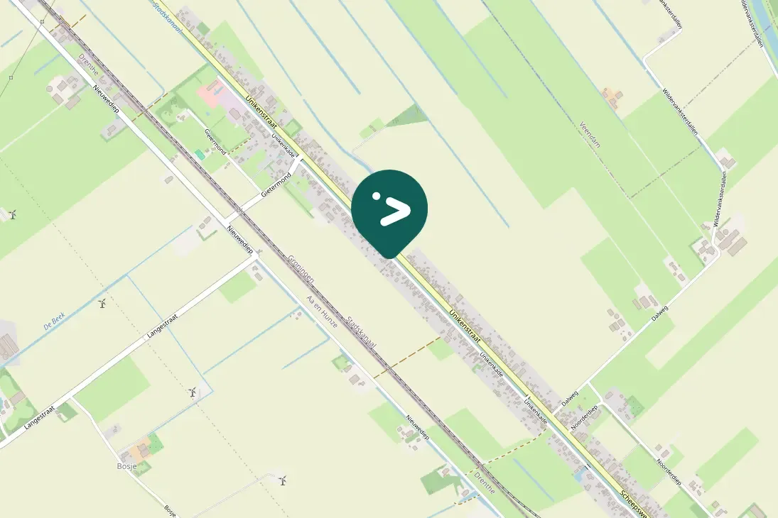 Gespotte Mandarijneend