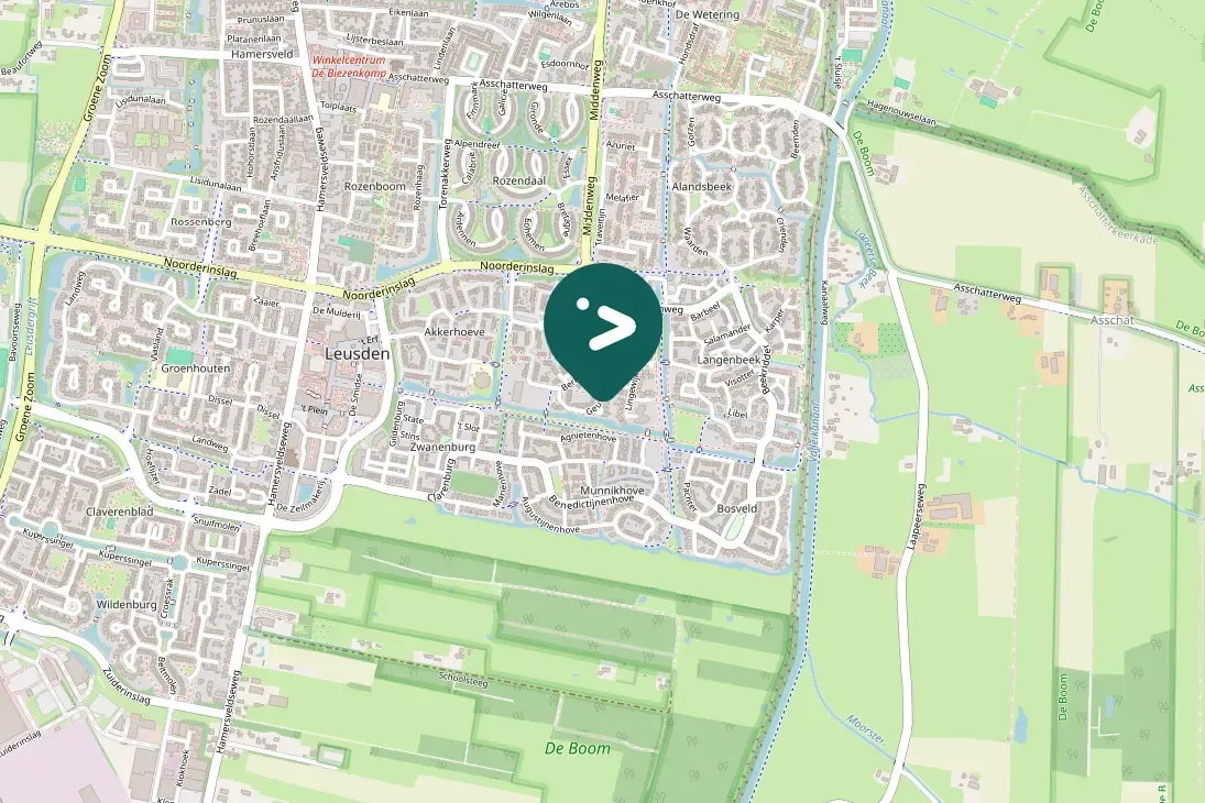 Spotted Common Chiffchaff