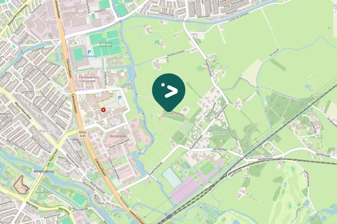 Gespotte Grauwe gans