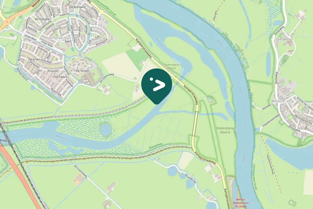 Gespotte Oeverzwaluw