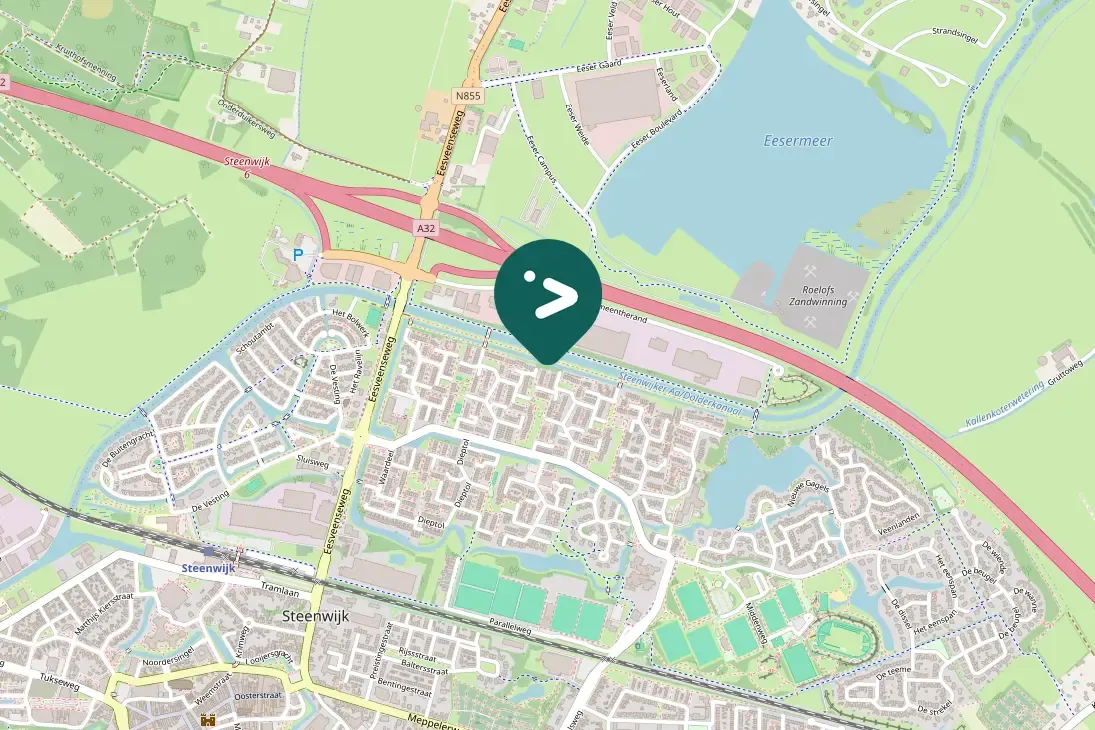 Spotted Yellow-legged Gull