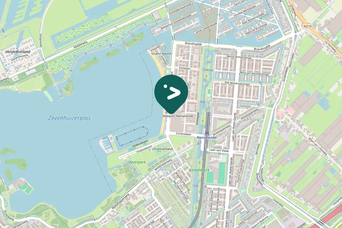 Gespotte Aalscholver