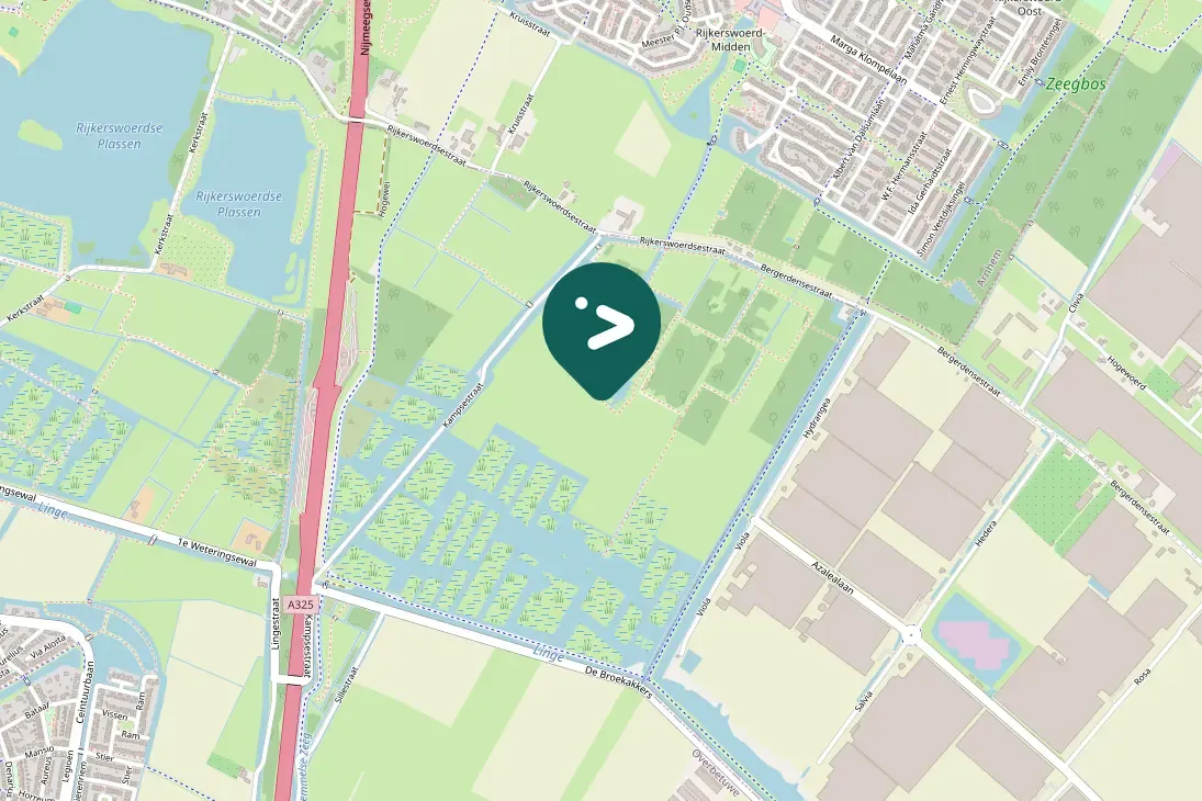 Gespotte Zwarte stern