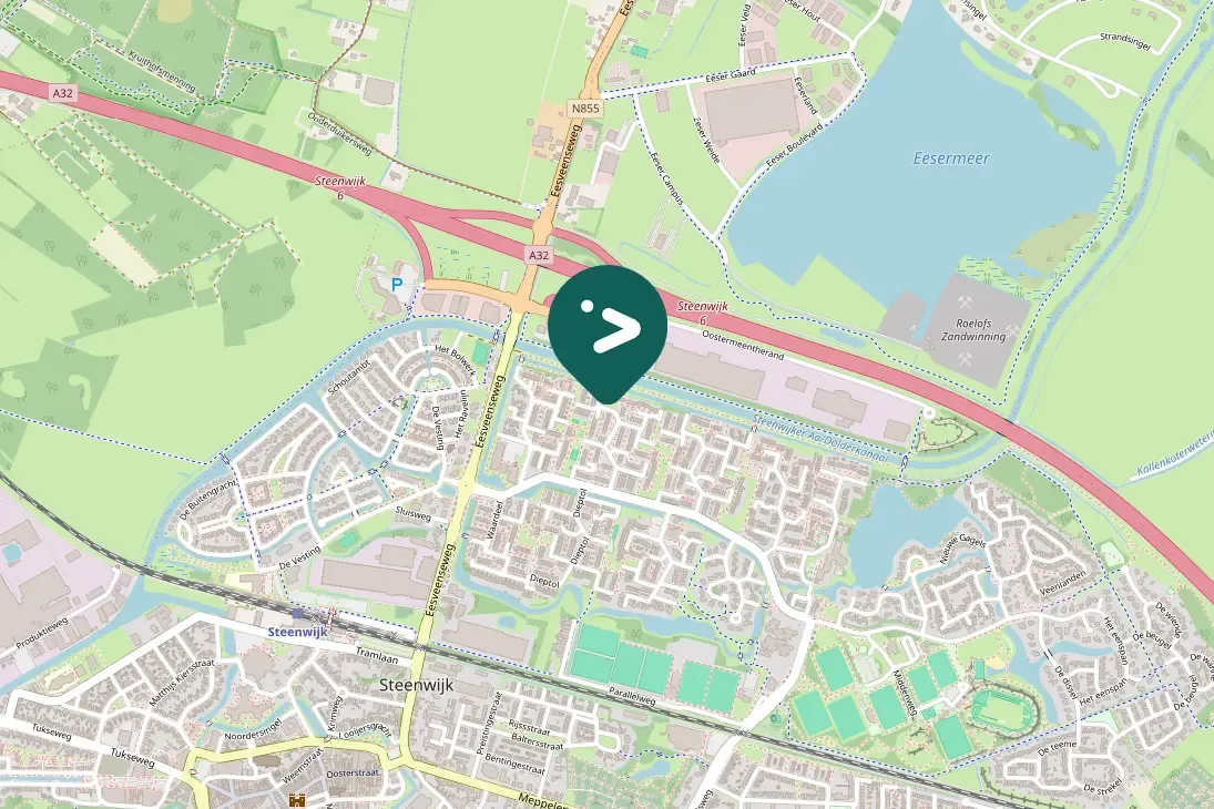 Gespotte Grauwe gans