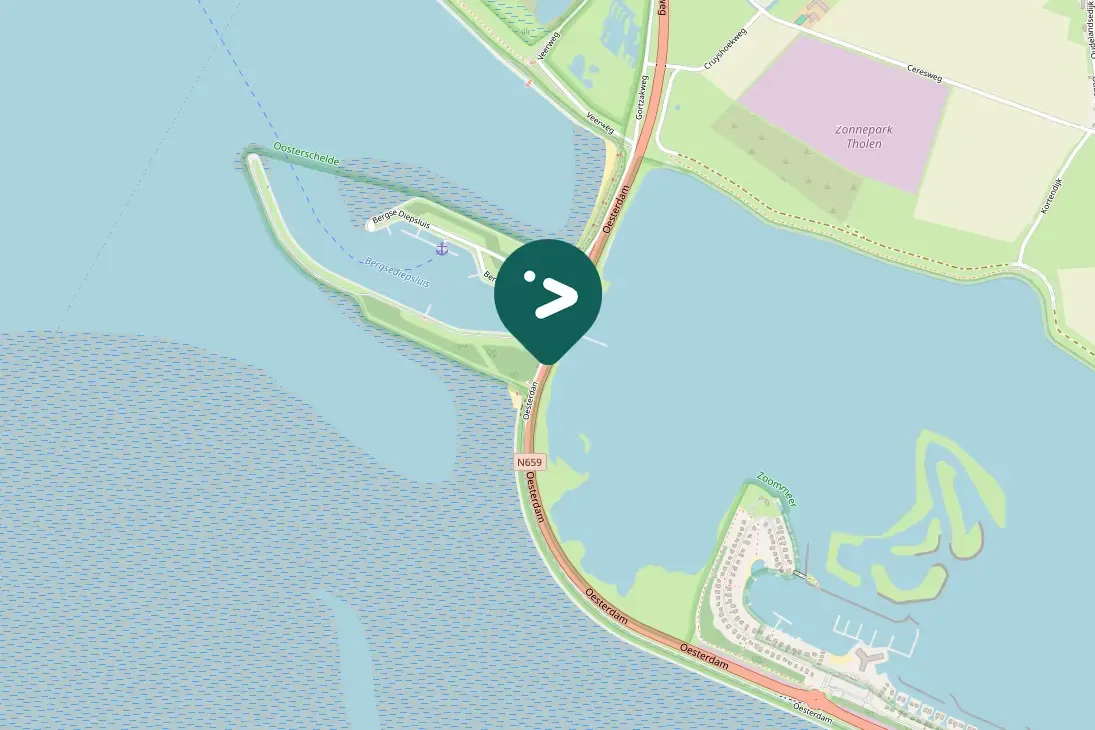 Gespotte Zilvermeeuw