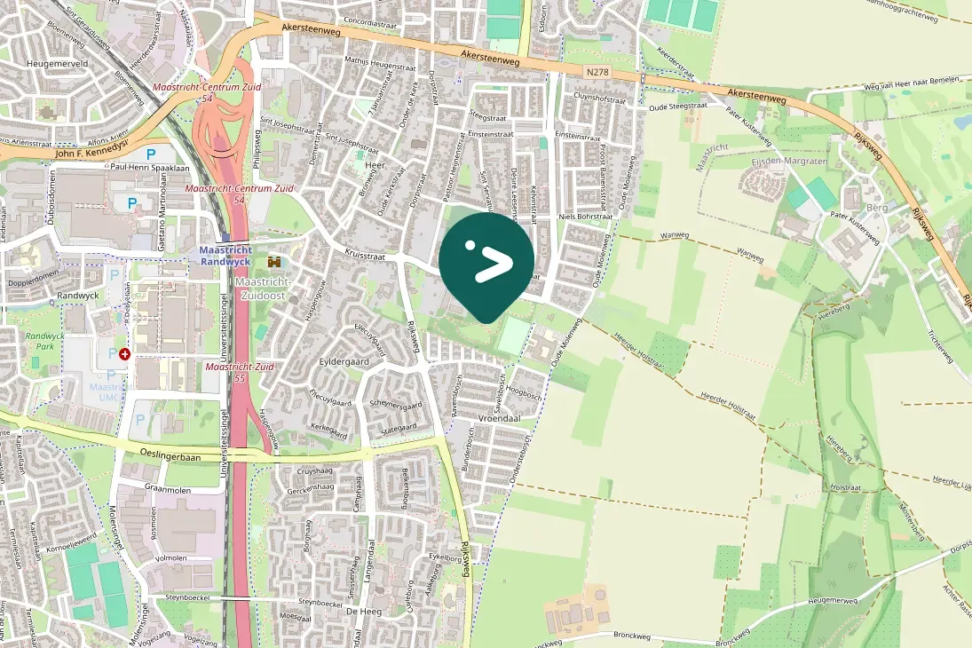 Spotted Eurasian Green Woodpecker