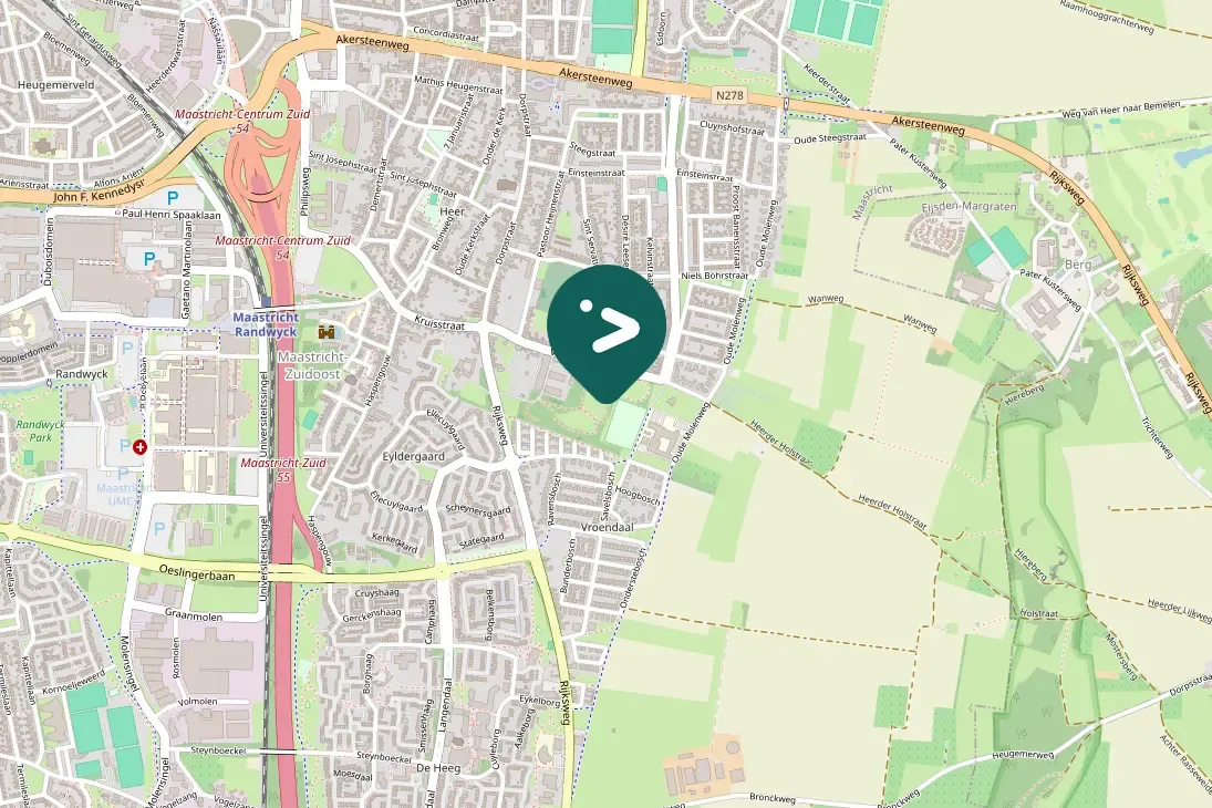 Spotted Great Spotted Woodpecker