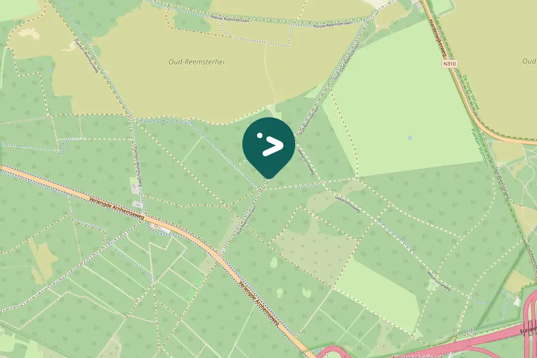 Gespotte Gekraagde roodstaart