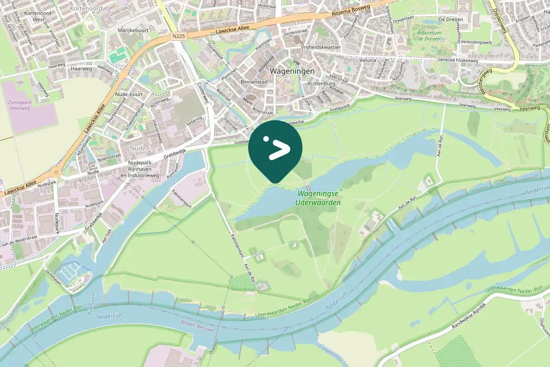 Gespotte Kleine karekiet