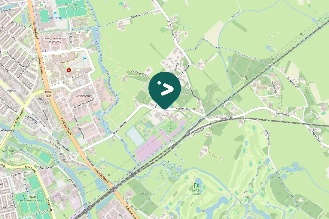 Gespotte Grote mantelmeeuw