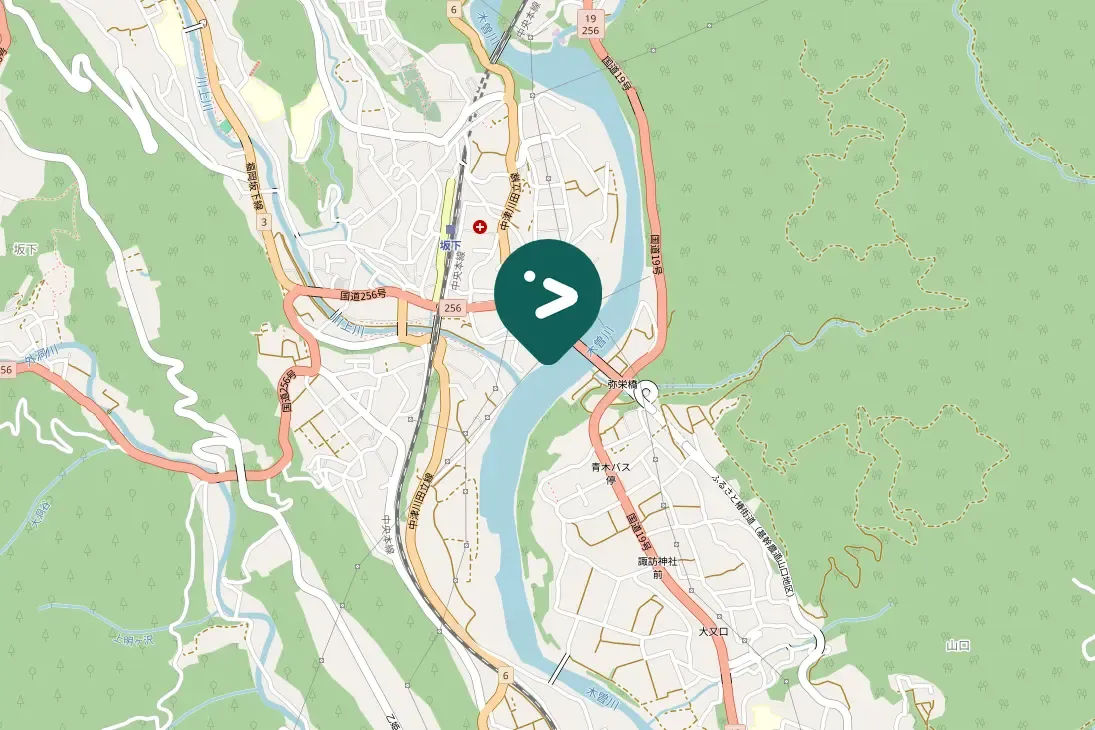 Gespotte Zwarte wouw