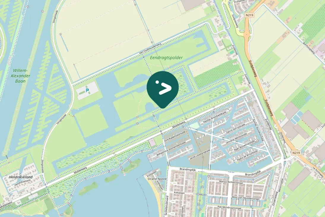 Gespotte Knobbelzwaan