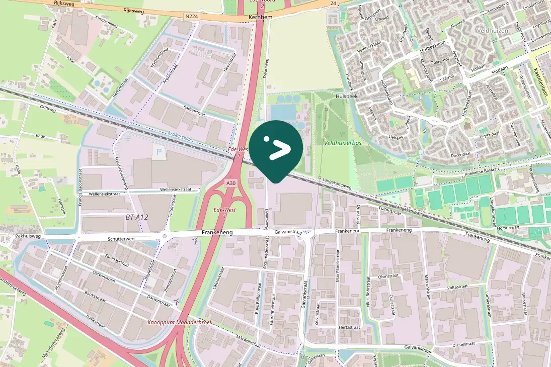 Gespotte Zwarte roodstaart