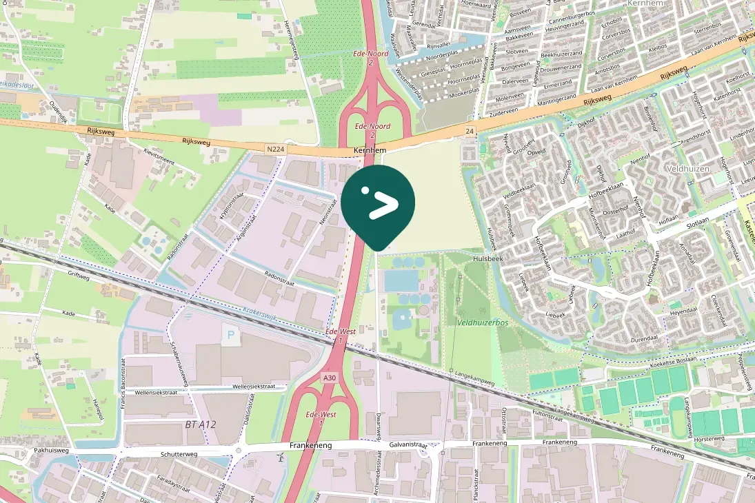 Gespotte Kleine mantelmeeuw