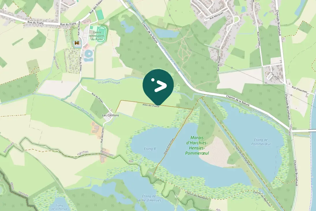 Gespotte Grauwe gans