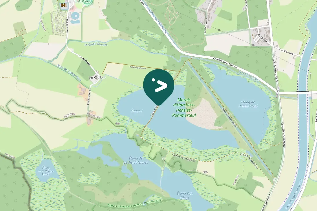 Gespotte Knobbelzwaan