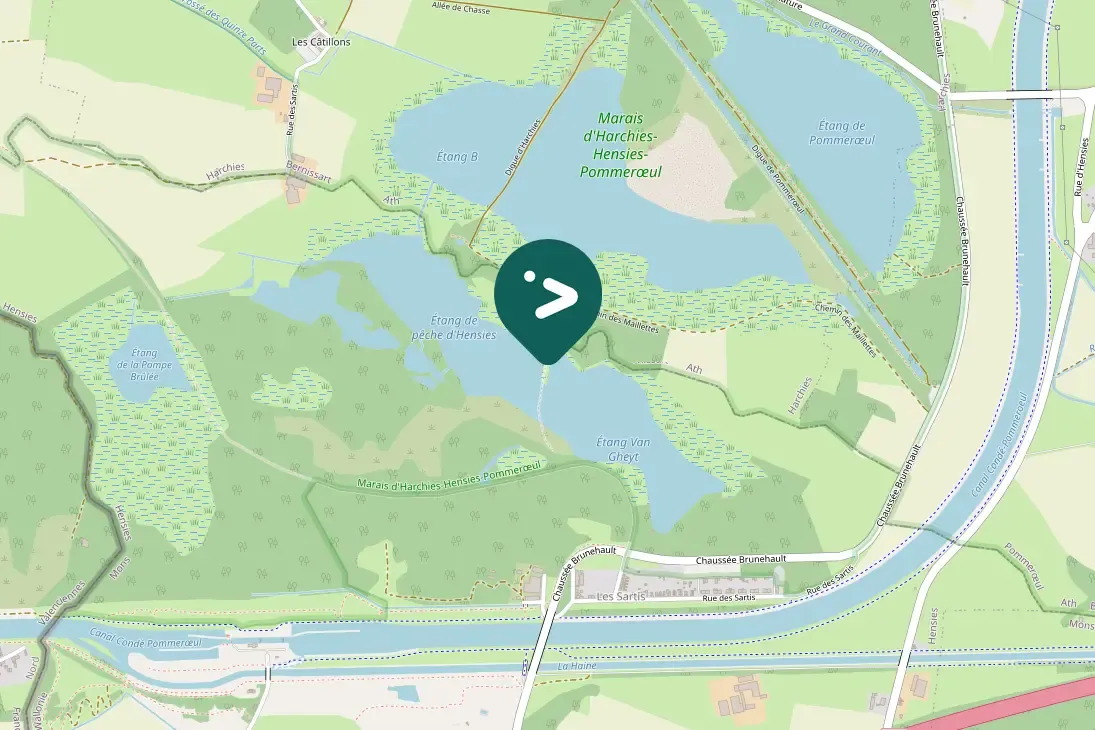 Gespotte Aalscholver