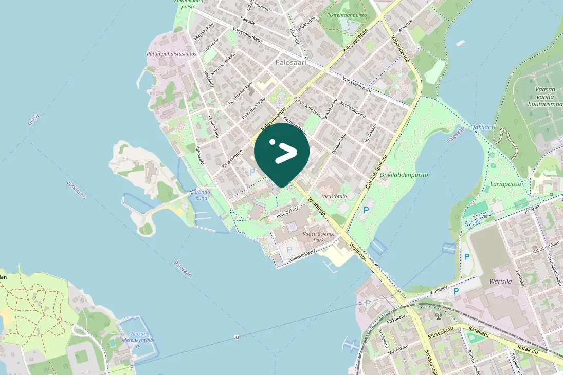 Gespotte Knobbelzwaan