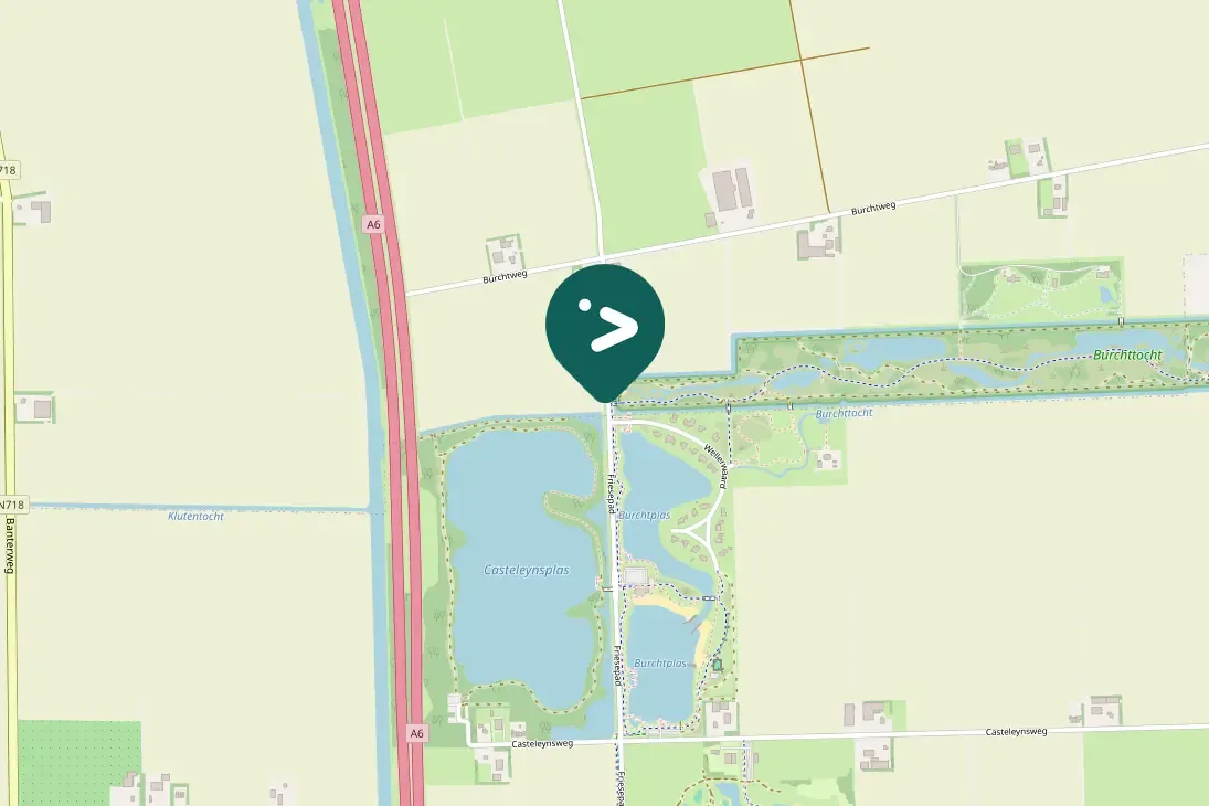 Gespotte Gele kwikstaart