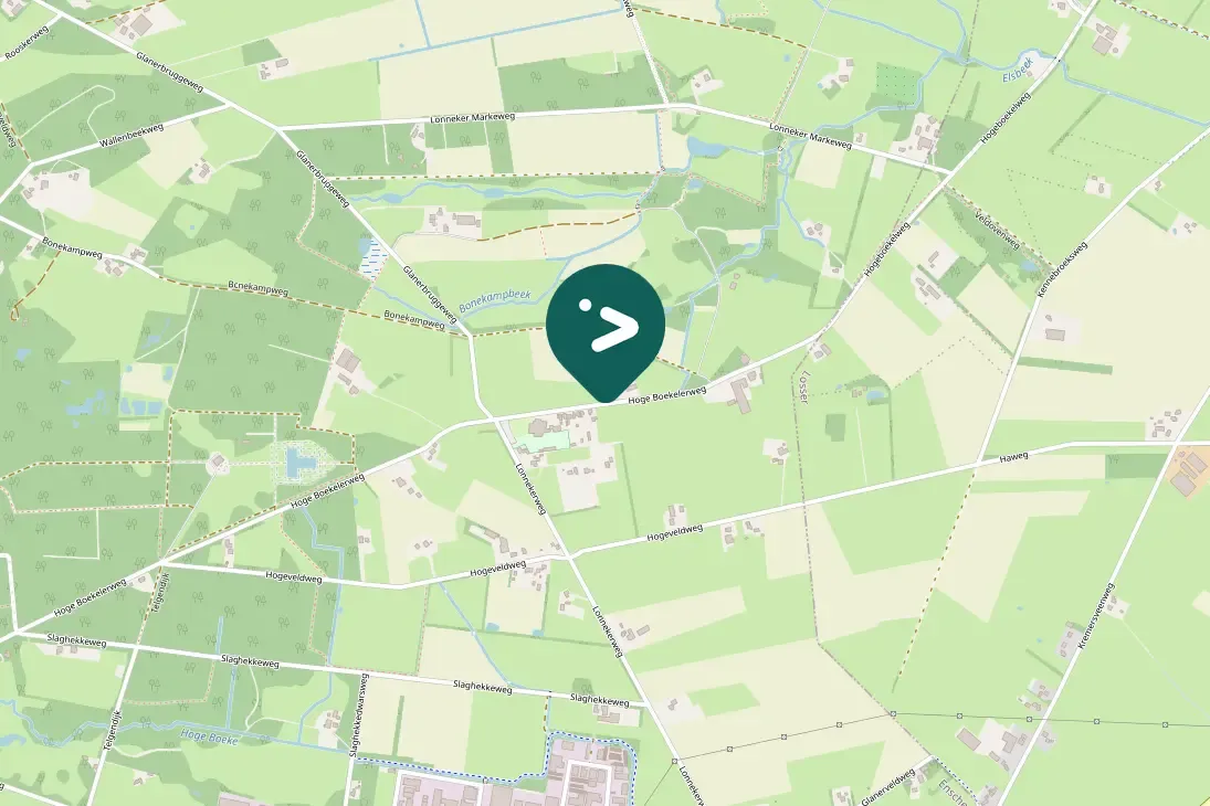 Gespotte Groene specht