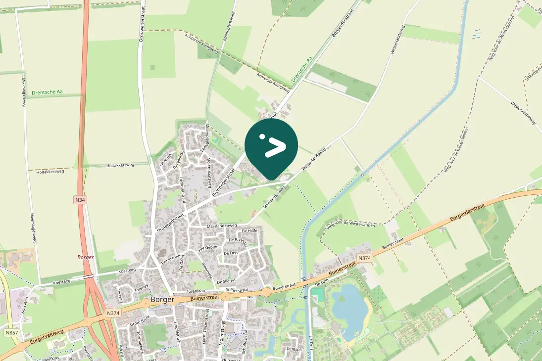 Gespotte Groene specht