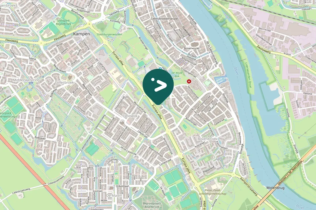 Gespotte Grote Canadese gans