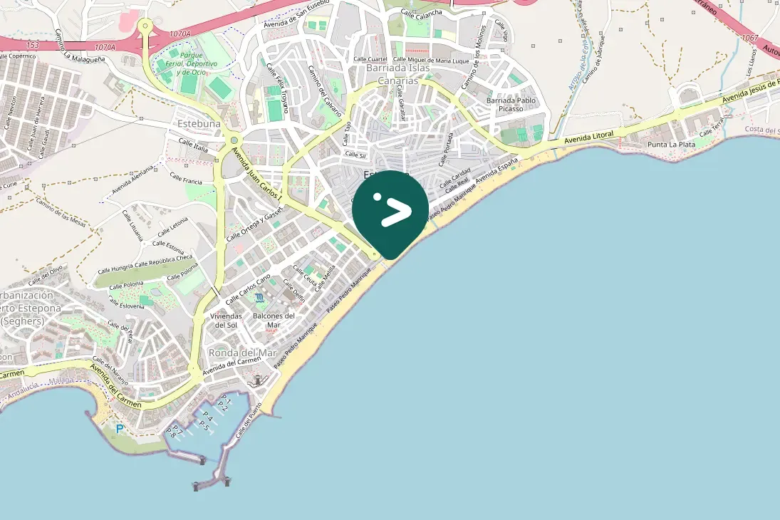 Gespotte Geelpootmeeuw