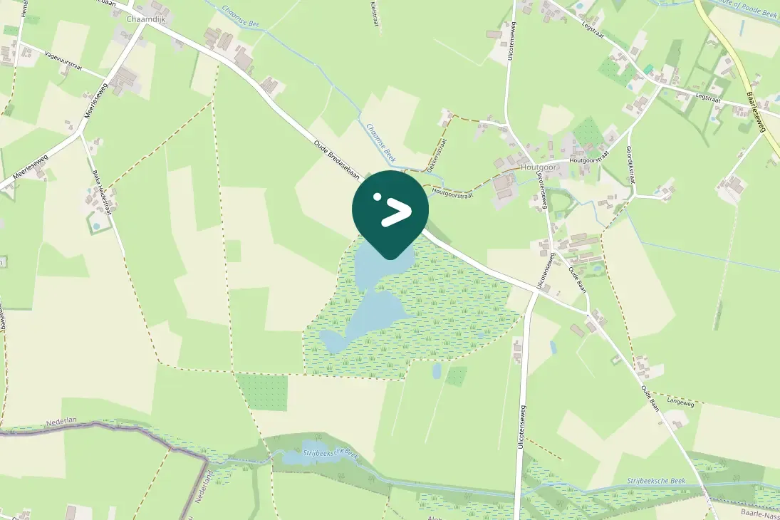 Gespotte Groenpootruiter