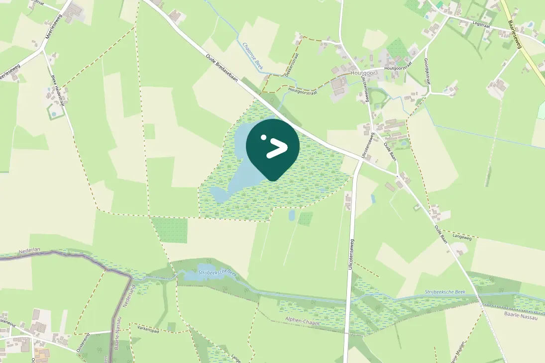 Gespotte Kleine mantelmeeuw