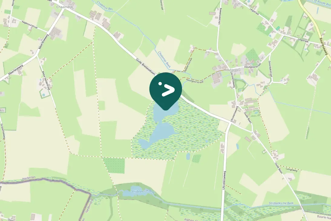 Gespotte Zilvermeeuw