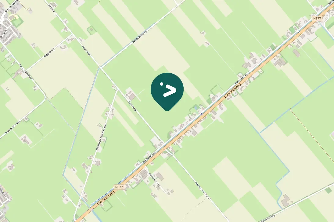 Gespotte Aalscholver