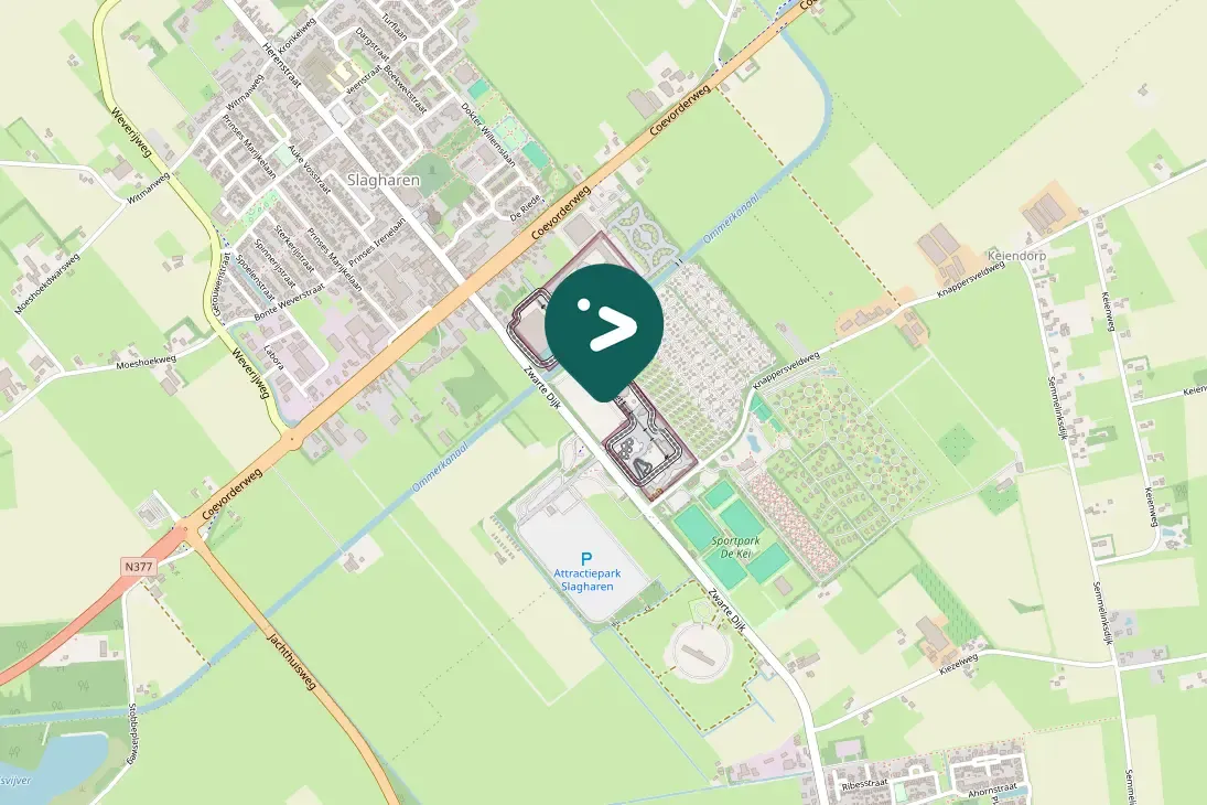 Gespotte Gele kwikstaart