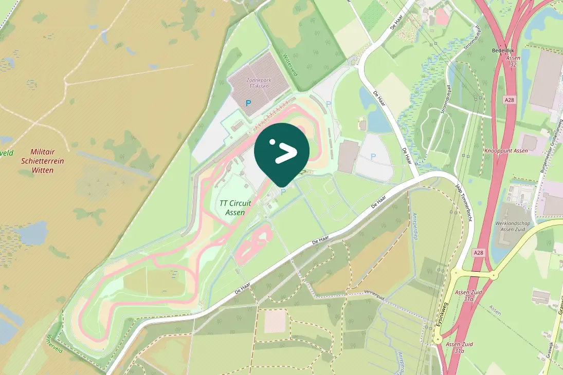 Gespotte Zwarte kraai