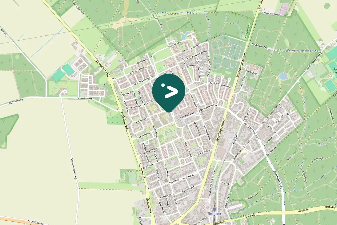 Gespotte Groene specht