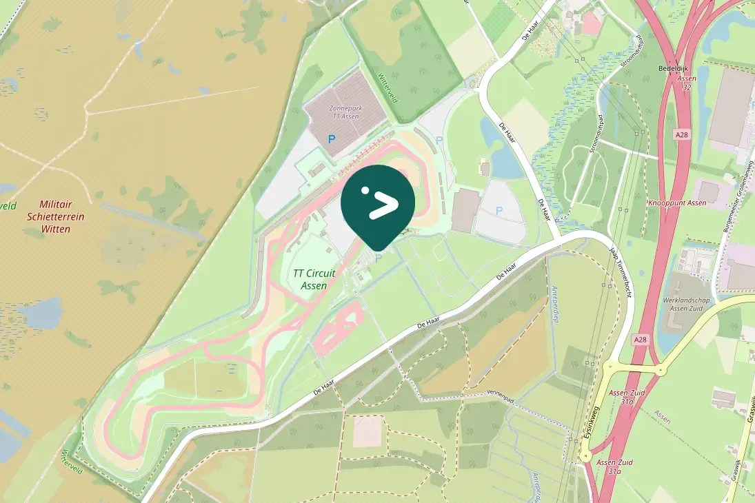 Gespotte Witte kwikstaart