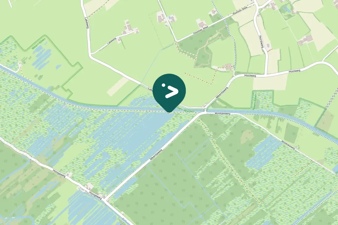 Gespotte Oeverzwaluw