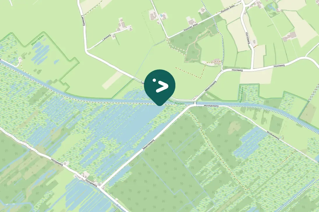 Gespotte Noordse stern