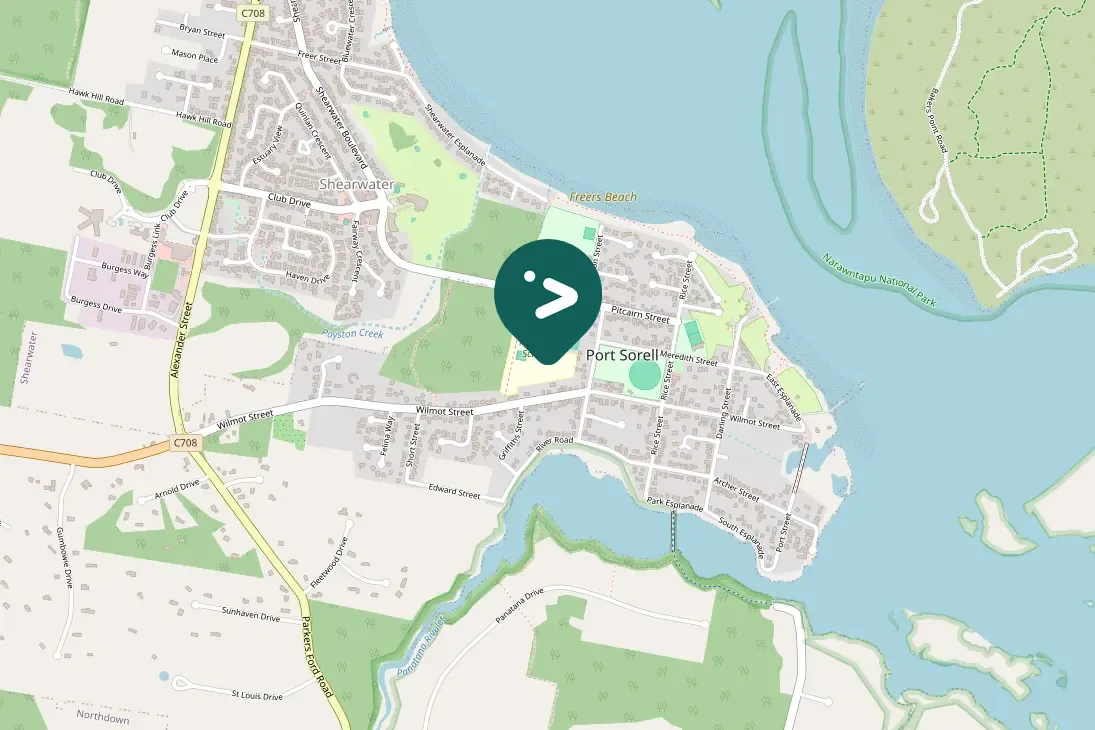 Gespotte Zwartrugfluitvogel