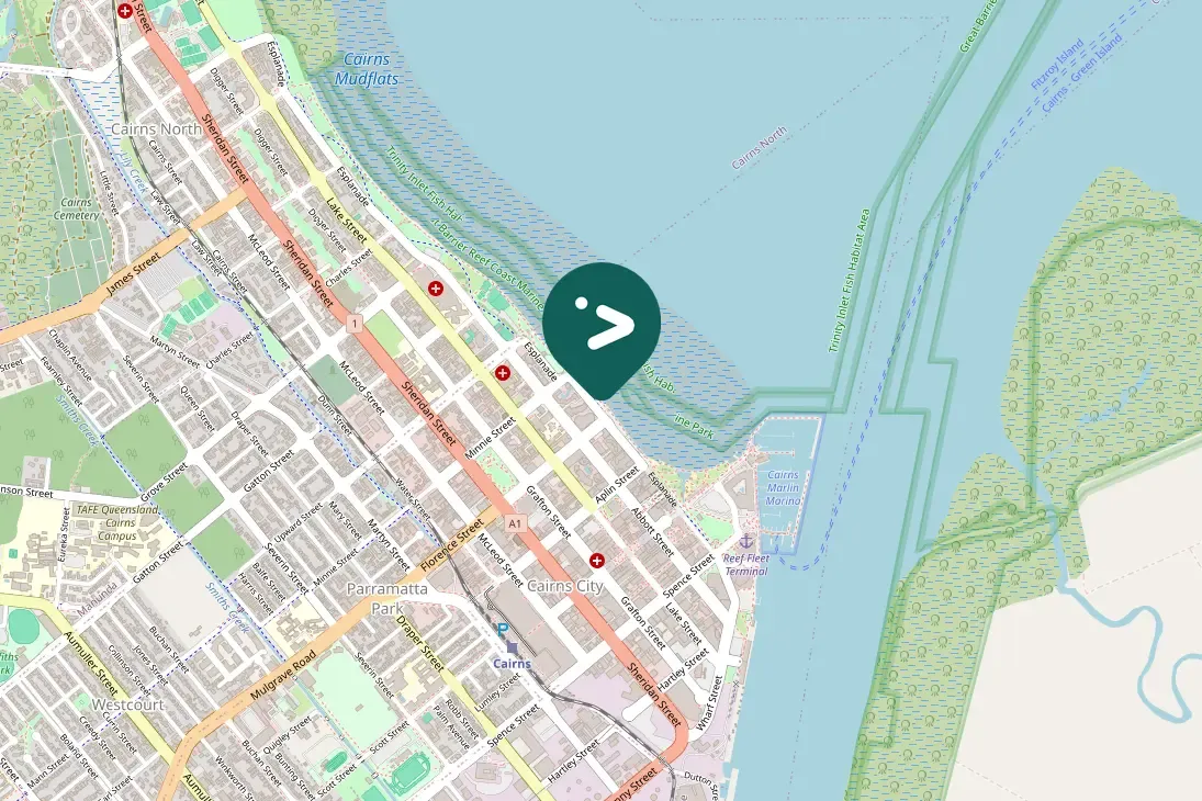 Gespotte Australische witte ibis