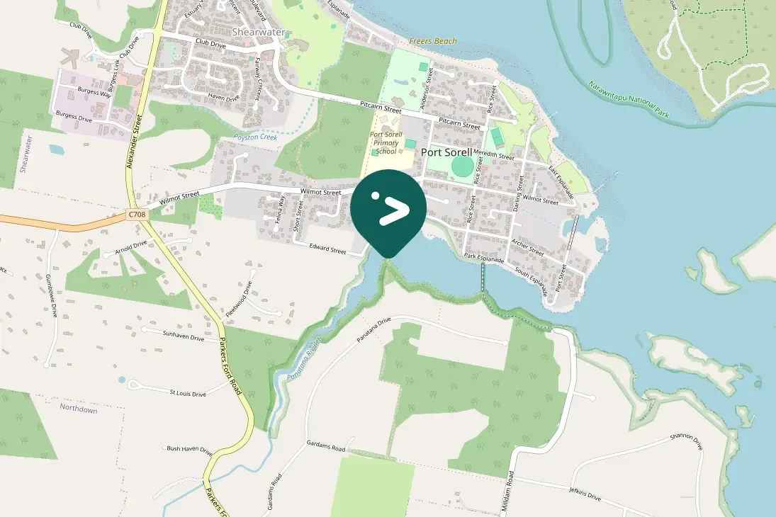 Gespotte Kleine bonte aalscholver