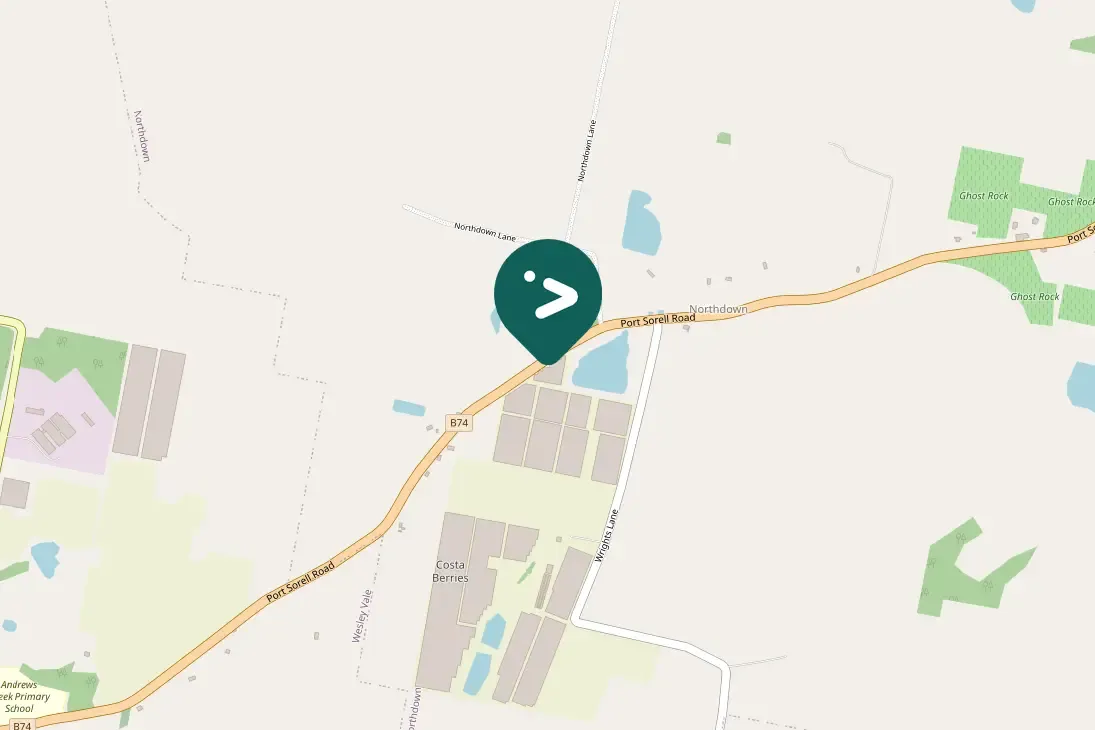 Gespotte Australische purperkoet