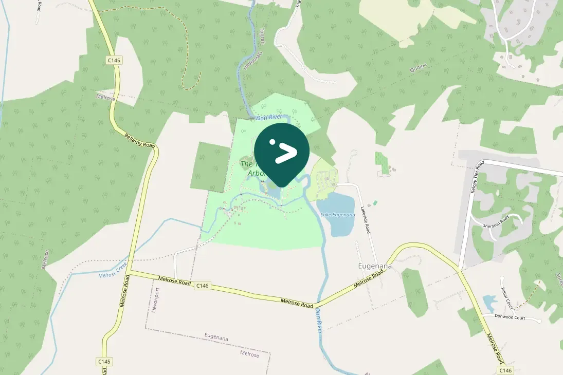 Gespotte Zwart waterhoen