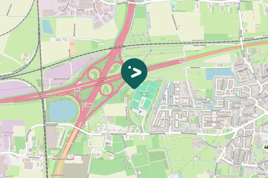 Gespotte Zwarte kraai