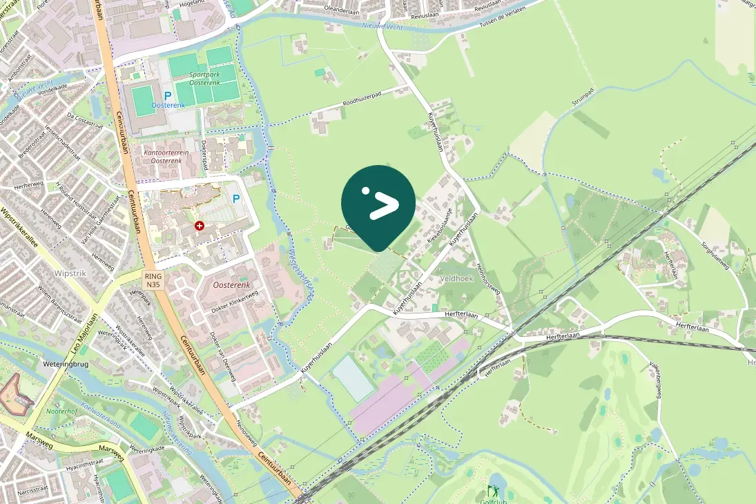 Gespotte Winterkoning