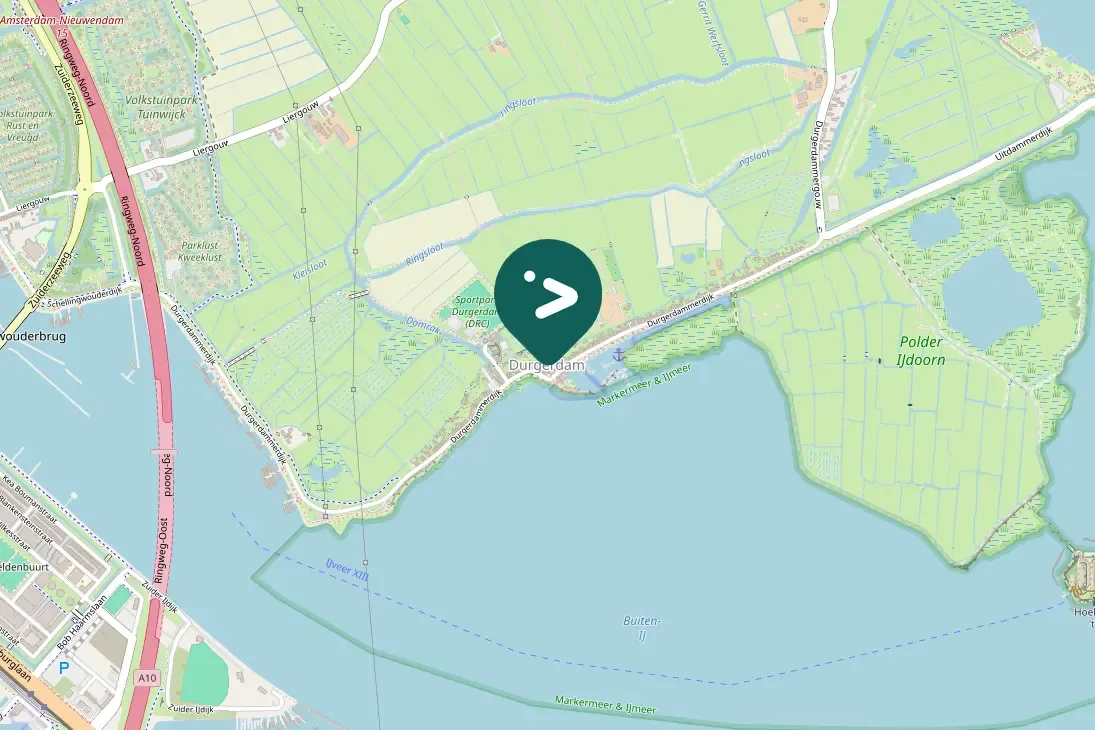 Gespotte Aalscholver