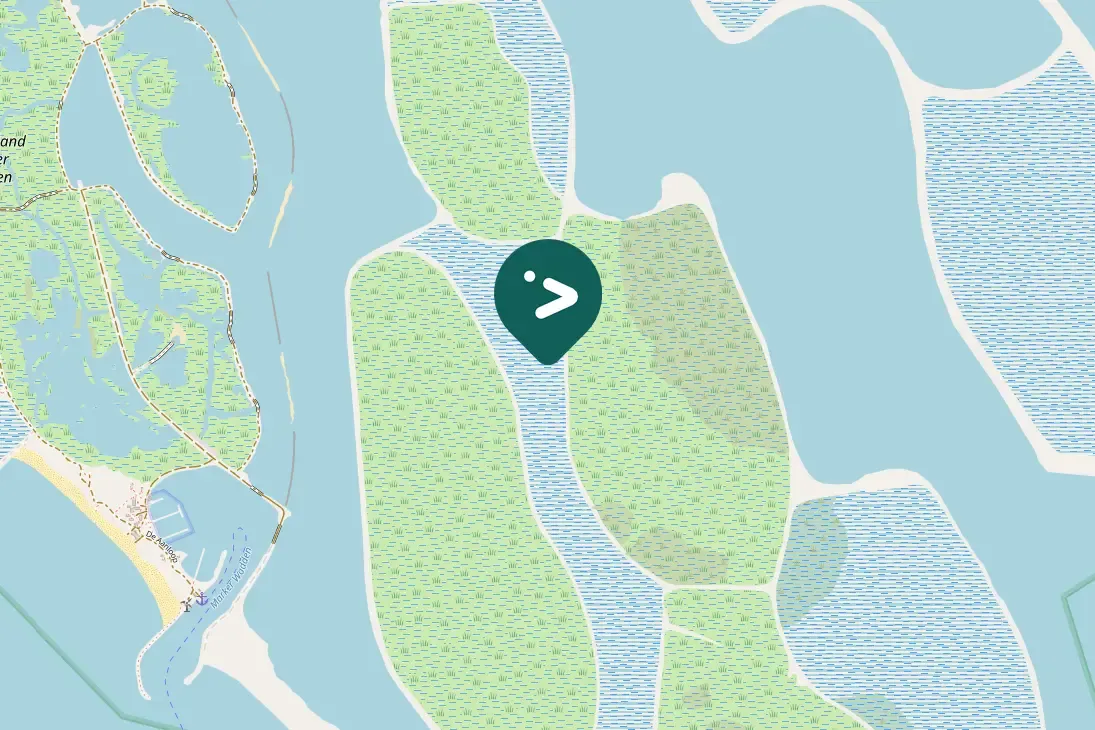 Gespotte Grote zilverreiger