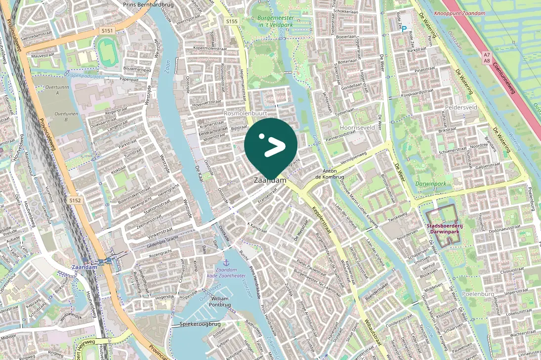 Gespotte Blauwe reiger